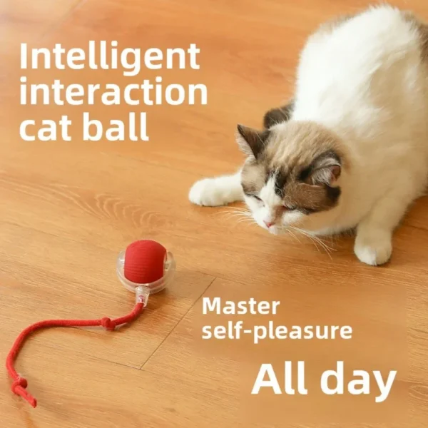 🐱🎾 Pelota Inteligente para Gatos – Diversión Infinita y Movimiento Automático 🎾🐱 - Imagen 3
